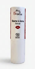 Lade das Bild in den Galerie-Viewer, SOFT BALM Lippenbalsam - 4 ml - OXALIA