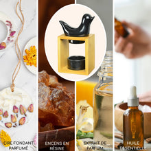 Load image into Gallery viewer, Brûle parfum, cire & fondants BIRDY Noir - Zen'Arôme