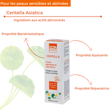 Charger l'image dans la galerie, Crème CENTELLA - Crème apaisante et réparatrice - 50ml - CYTOLNAT