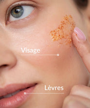 Lade das Bild in den Galerie-Viewer, APRICOT RADIANCE Peeling-Gesichts- und Lippengel – 75 ml – OXALIA