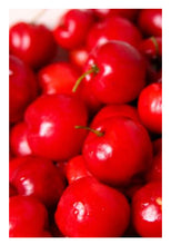 Load image into Gallery viewer, Crème anti-âge L'AUBE - 50ml - OXALIA