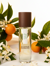 Charger l'image dans la galerie, Eau de Parfum BOIS DE NÉROLI – Bergamote, Néroli & Vétiver – 88% Naturel – 15ml – LES SENTEURS GOURMANDES