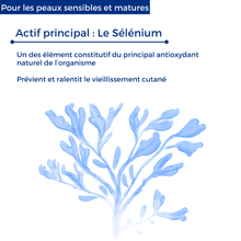 Lade das Bild in den Galerie-Viewer, Selencreme - Anti-Aging-Creme für empfindliche Haut mit Vitamin A, C und E - 40 ml - CYTOLNAT