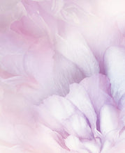 Load image into Gallery viewer, Sérum anti-âge JEUNESSE BLUFFANTE - 30ml - OXALIA