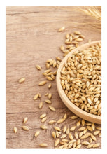 Lade das Bild in den Galerie-Viewer, Gesichtsmaske aus Bio-Baumwolle mit Vitamin B Anti-Aging, feuchtigkeitsspendend, straffend - Einzelbeutel - OXALIA