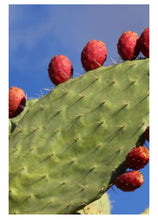 Load image into Gallery viewer, L'INTEMPOREL Soin ciblé combleur de rides Expert pro-âge - 15ml - OXALIA