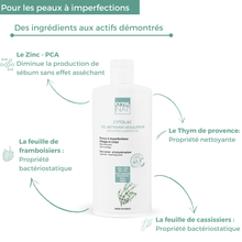 Charger l'image dans la galerie, Gel nettoyant régulateur CYTOLAC enrichi en Zinc - 250ml - CYTOLNAT