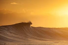 Charger l'image dans la galerie, Eau de parfum MUSC BLANC - 15ml - LES SENTEURS GOURMANDES