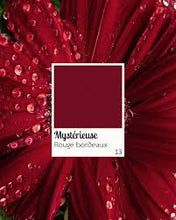 Lade das Bild in den Galerie-Viewer, Flüssiger Lippenstift Halbmattes Finish, pflegend, angenehm 100 % natürlich – 8,5 ml – OXALIA