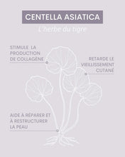Load image into Gallery viewer, Crème JEUNESSE BLUFFANTE à l'huile de rosier de muscat, à la Vitamine E - 50ml - OXALIA