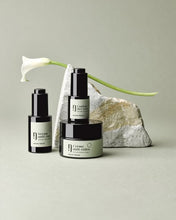 Load image into Gallery viewer, Sérum Anti-Âge – Renouée Bistorte, Sarriette & Acide Hyaluronique – Effet Tenseur & Raffermissant – 30ml – NATUREisFUTURE