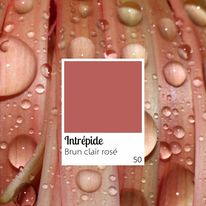 Lade das Bild in den Galerie-Viewer, Flüssiger Lippenstift Halbmattes Finish, pflegend, angenehm 100 % natürlich – 8,5 ml – OXALIA