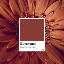 Lade das Bild in den Galerie-Viewer, Flüssiger Lippenstift Halbmattes Finish, pflegend, angenehm 100 % natürlich – 8,5 ml – OXALIA